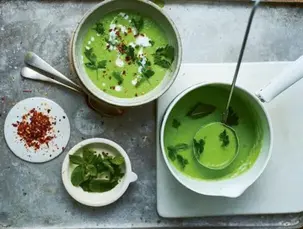 vegán