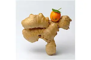 ginger