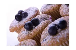 vegetáriánus