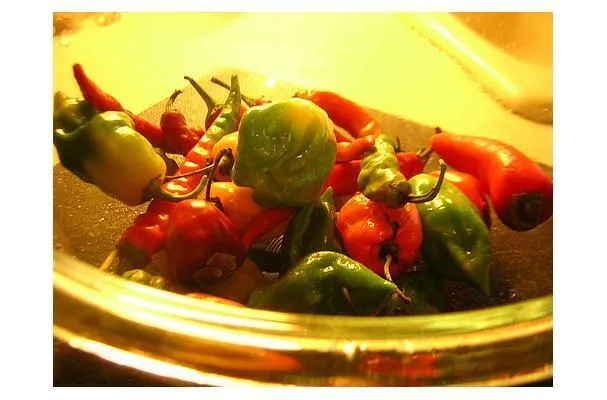 Habanero ecet